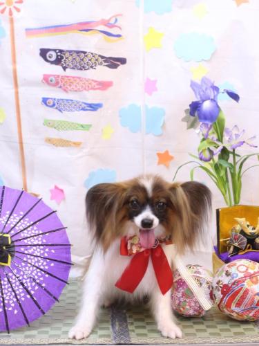 20240515ラナちゃん